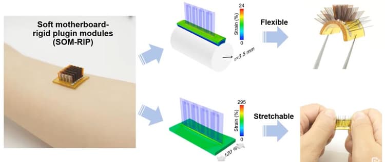 Wearable Generators Wearable Thermoelectric Generators: Everything you need to know